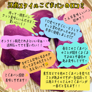 【江南スタイル】こぐまパンシリーズよくばり9個セット ｜サツマイモパン ジャガイモパン　カボチャパン コグマパン カムジャパン ホバクパン 手作り 菓子パン 冷凍パン おやつ 詰め合わせ 個包装 栃木市 栃木県