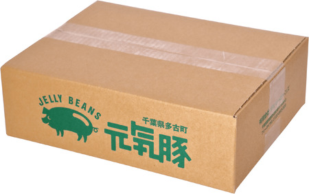 【毎月定期便】元気豚 粗挽きハーブフランクフルト 30本セット 1.8kg(60g×30本)全9回_肉 ソーセージ・ウインナー 豚肉   定期便 定期便  _【配送不可地域：離島・沖縄県】 TAKB068