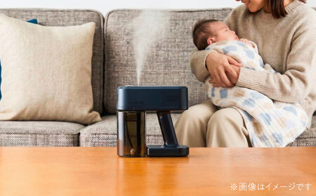 【全6回定期便】nanozilla専用 銀イオン除菌液 5L / 赤ちゃん 子供 赤ちゃん BHBA012