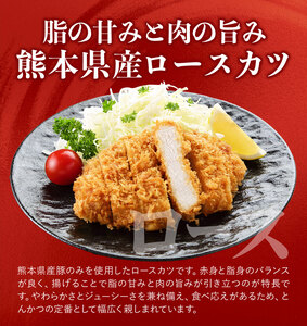熊本県産 豚ヒレカツ約700g豚ロースカツ約700gセット(計1.4kg) 植田商事有限会社《30日以内に出荷予定(土日祝除く)》 熊本県 菊池市 豚 豚肉 冷凍 カツ 国産 揚げるだけ ヒレ ロース 送料無料
