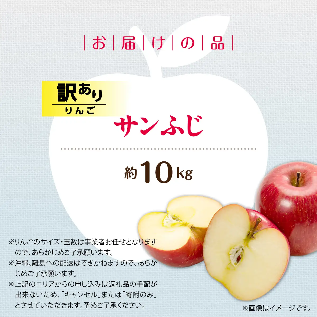 【先行予約】＜2026年12月上旬よりお届け＞北海道壮瞥町　【訳あり】りんご　品種名「サンふじ」約10kg SBTF030
