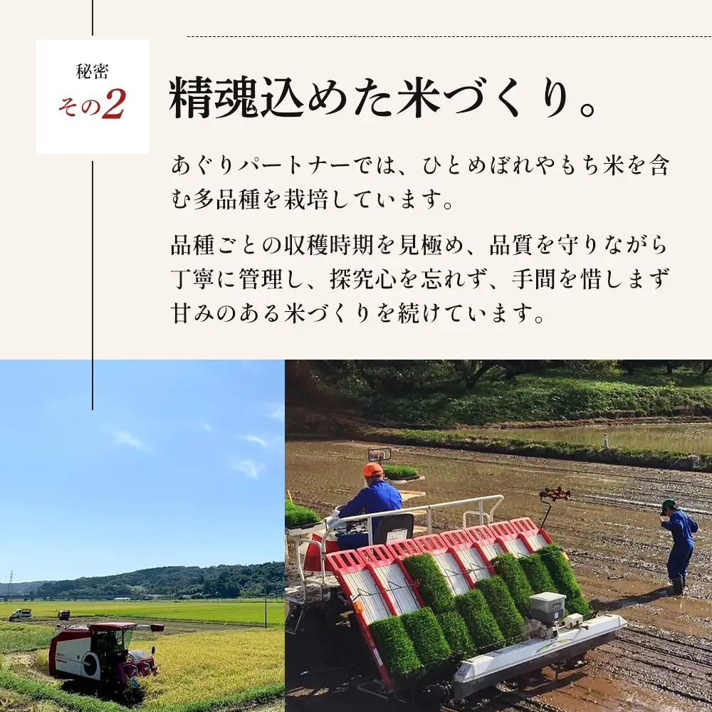 令和8年産 新米 ひとめぼれ 5kg 3ヵ月 定期便 先行予約 米 お米 白米 精米 こめ コメ 令和8年 宮城県産