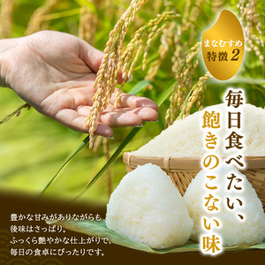 まなむすめ 定期便6回/5kg×2袋 令和8年産 新米 先行予約 宮城県産 米 精米 白米 米 コメ お米 おこめ ブランド米 ご飯 ごはん