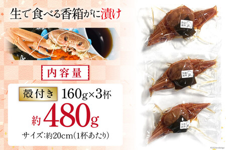 生 香箱蟹の船上漬け 平均160g 3杯 [愛場商店 富山県 朝日町 34310362]