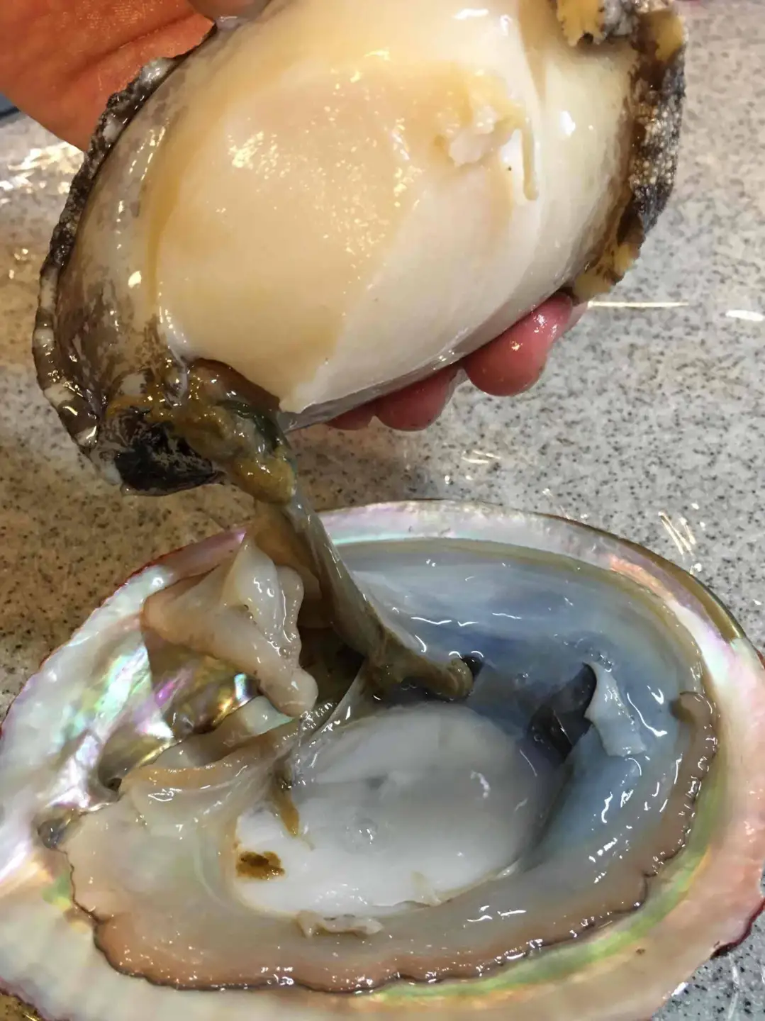 竹中水産の嗜好の大型アワビ(2kg前後)!【H22-230】【配送不可地域：離島・北海道・沖縄県】【1060854】 YWTM048