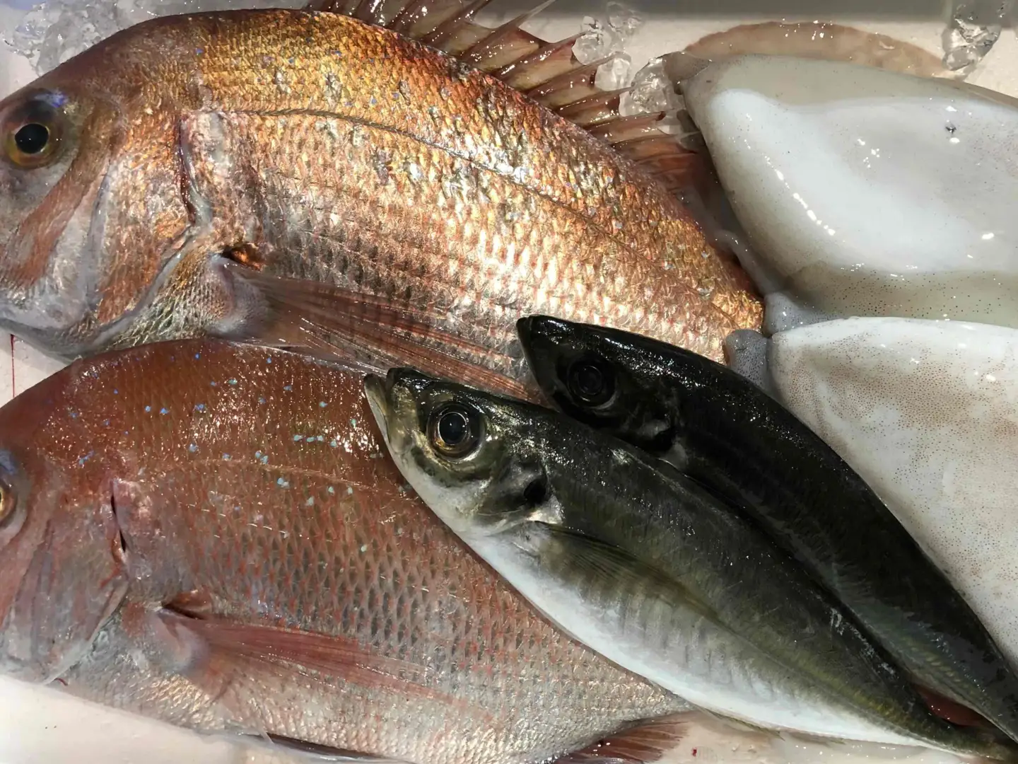 竹中水産の八幡浜発!「朝獲れデイリー鮮魚BOX」2キロ【D22-278】【配送不可地域：離島・北海道・沖縄県】【1298415】 YWTM095