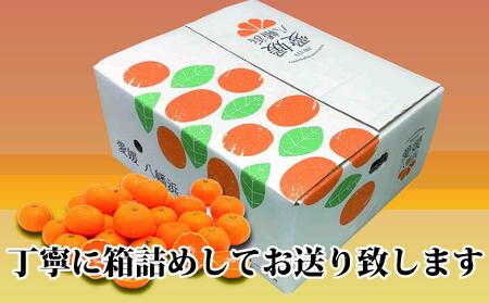 【先行受付】愛咲果樹園「せとか」約2kg【C71-22】【1598822】 YWTS018