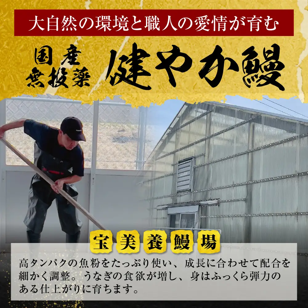 Z61-69R01 寄附額改定↓↓ 丑の日7/25までにお届け 健やか鰻 国産うなぎ蒲焼（無頭）6尾（計930g以上） うなぎ 丑の日