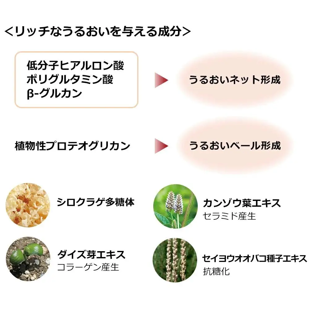 ハニーラボ 化粧液〈120mL〉（07781）【006-a153】【山田養蜂場】
