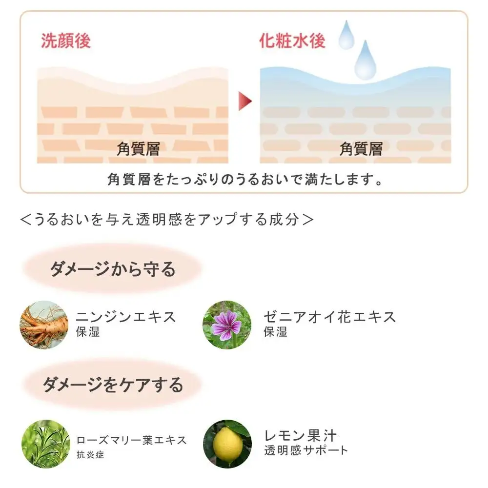 ハニーラボ 化粧水〈120mL〉（06163）【006-a154】【山田養蜂場】