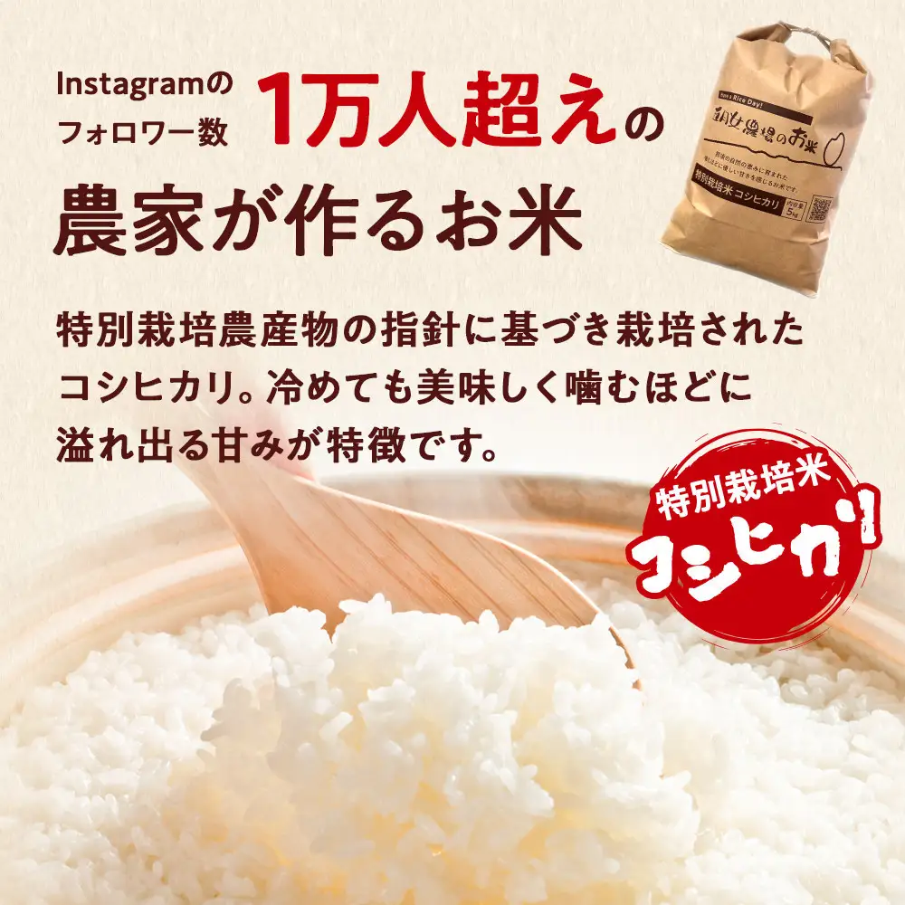 栃木県大田原産コシヒカリ 白米 10kg｜ 特別栽培米 メディア出演多数 栃木県農業大賞 知事賞 受賞農家 五月女農場 農家直送 産地直送 産直 栃木県 大田原市 こしひかり