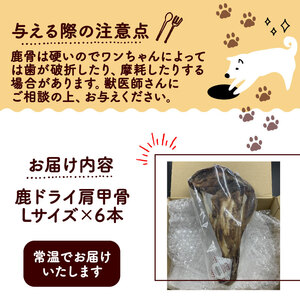 鹿ドライ肩甲骨Lサイズ（23㎝以上）6本 セット ペット用品 ペットグッズ ペットフード