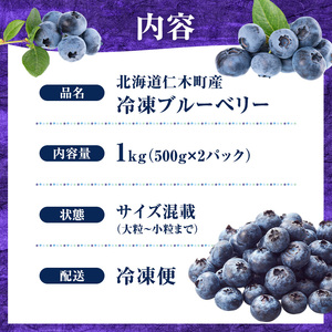 先行予約【朝採り】当日冷凍「北海道ニキブルーベリー」1kg（500g×2）サイズ混載 果物 くだもの 冷凍 フルーツ ブルーベリー 北海道 仁木［ぜにたに農園］
