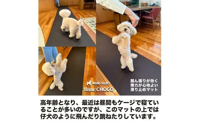 愛犬のための室内用 滑り止めマット HOME CHOCO III［幅70cm×長さ2m］ホームチョコVer.III / ドッグマット ペットマット 【パターマット工房PROゴルフショップ】[ATAG100]