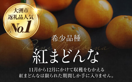 紅まどんな（家庭用）約5kg （24玉-30玉）紅まどんな[AGAO009]