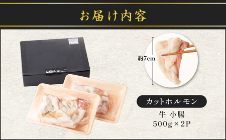 カット ホルモン K137-002 肉 牛 牛肉 冷凍