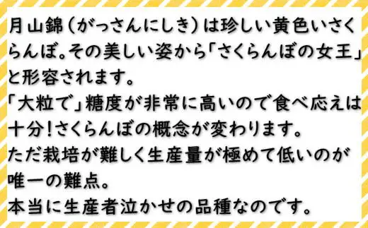 8-042-002　山口さんちのさくらんぼ 4種堪能セット 1.6kg