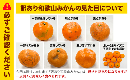 訳ありみかん 5kg こだまファーム《10月中旬-2月下旬頃出荷》和歌山県 紀の川市 みかん ミカン 柑橘 果物 フルーツ 訳あり 訳アリ ご家庭用 和歌山県産
