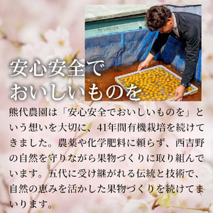 もみしそ 500g | 梅炭 パウダー 梅シソ 梅 ウメ うめ シソ しそ 紫蘇 有機 ふりかけ ごはん お供 トッピング お弁当 弁当 健康 調味料 | 奈良県 五條市