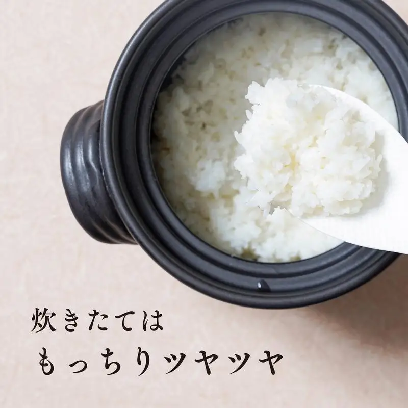 令和8年産【特別栽培米】減農薬 コシヒカリ 宮崎県産 5kg 精米 お米 白米 こしひかり 井野農園