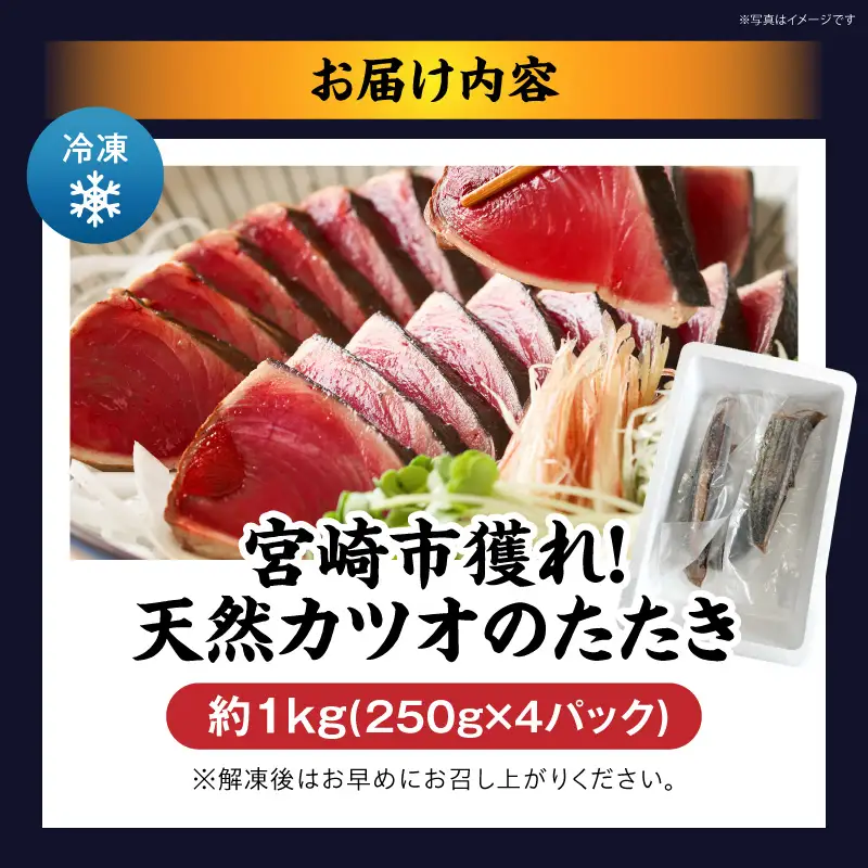 宮崎市獲れ！天然カツオのたたき カツオ タタキ 魚