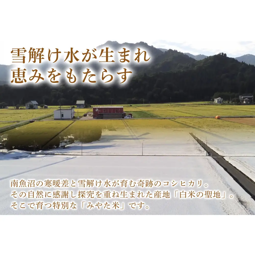 【令和8年産新米予約】【定期便12ヶ月】南魚沼産こしひかり　みやた米5kg【定期便 銘柄米 ブランド米 精米 こしひかり コシヒカリ 魚沼産 新潟米 お米 米 こめ コメ ごはん】【2026年10月上旬より1ヶ月以内に順次発送予定】