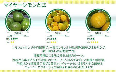 そのまんまのマイヤーレモン 果汁 100% 200ml 6本 無添加 岩国産 瀬戸内【神東ファーム】