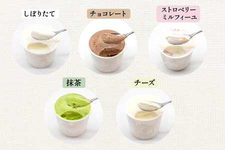 はちみつ & アイス 百花蜜 450g × 1本 牧場直送アイス 120ml×5種 計5個 [吉田養蜂園 岩瀬牧場 北海道 砂川市 12260986]