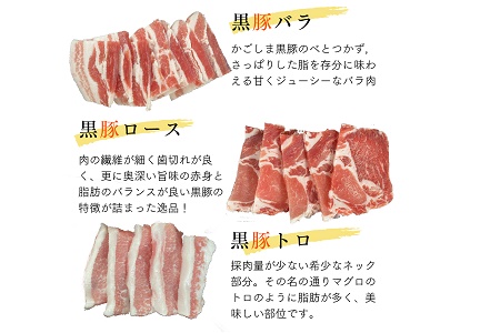 鹿児島県産 黒牛黒豚BBQセット650g【配送不可地域：離島】【1185887】