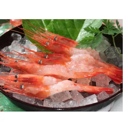 8-011-006　冷凍甘えび 500g（約40尾）