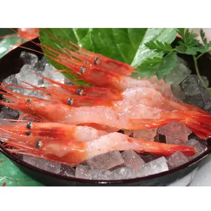 8-020-004　冷凍甘えび 1kg（70尾～90尾）