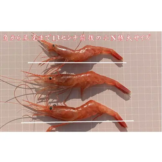 8-022-003　冷凍甘えび・しまえびセット 各500g