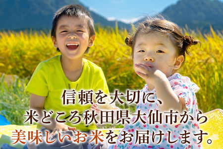 もち米 3kg（3kg×1袋）令和7年産 秋田県 大仙市産