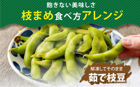 そのまま黒えだ豆 約1000g×2袋 計約2kg 枝豆 黒えだ豆 黒枝豆 えだ豆 えだまめ エダマメ おつまみ おやつ 国産 冷凍 [018-0074x1]