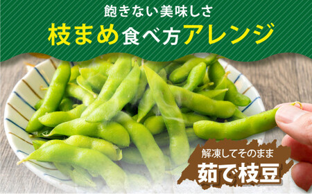 【12ヶ月定期便】そのまま枝豆 約300g×6袋 計約21.6kg 枝豆 えだ豆 えだまめ エダマメ おつまみ おやつ 定期便 12回 国産 冷凍 [018-0065x1]