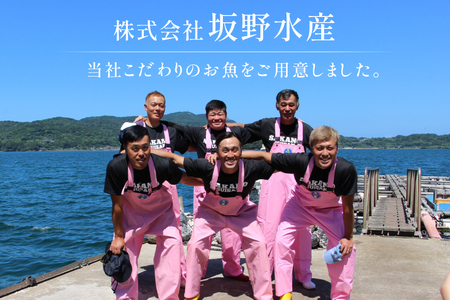 ぶり 刺身 平戸なつ香 ブリ 丸々 1匹 約4.5kg 3枚おろし アラ付き セット [坂野水産 長崎県 平戸市 hr42bgy420503]