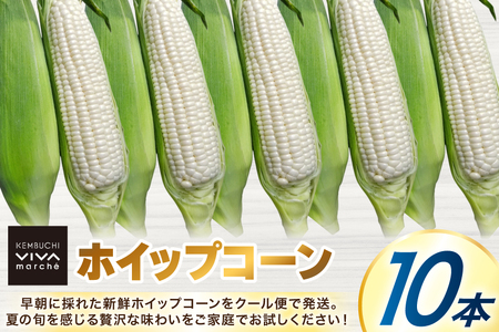 剣淵町産 ホイップコーン 10本 [けんぶちVIVAマルシェ 北海道 剣淵町 14656379]