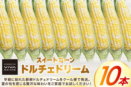 剣淵町産 ドルチェドリーム スイートコーン 10本 [けんぶちVIVAマルシェ 北海道 剣淵町 14656378]