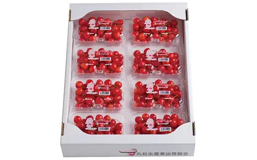 FYN6-529 ≪2026年先行予約≫山形県産 さくらんぼ 品種おまかせ(佐藤錦・紅秀峰など) 1.44kg(180g×8P) 秀 L以上 フードパック詰め 2026年6月中旬頃より発送 果物 くだもの フルーツ サクランボ チェリー 家庭用 自宅用 産地直送 山形県 西川町 月山