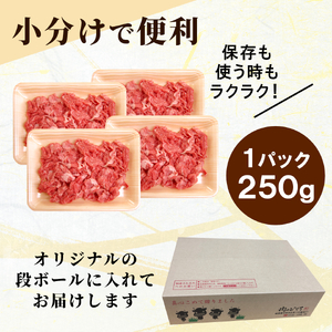 【5営業日以内発送】飛騨牛 切り落とし 500g(250g×2p) すき焼き 牛丼 炒め物 訳あり 肉のひぐち