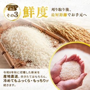 ひとめぼれ 定期便2回/5kg×1袋 令和8年産 新米 先行予約 宮城県産 米 精米 白米