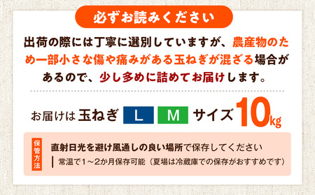 R8年産 玉ねぎ （L玉・М玉混合） 10kg オホーツクコロポックル | 北海道津別町
