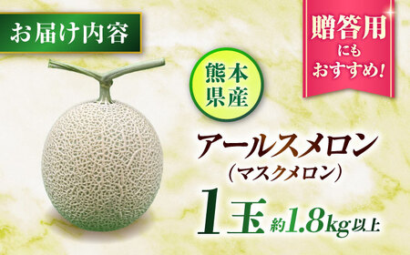 【先行予約】山鹿の恵み!匠の育てたアールスメロン（マスクメロン） 約1.8kg以上×1玉【きもと農園】[ZFQ003]