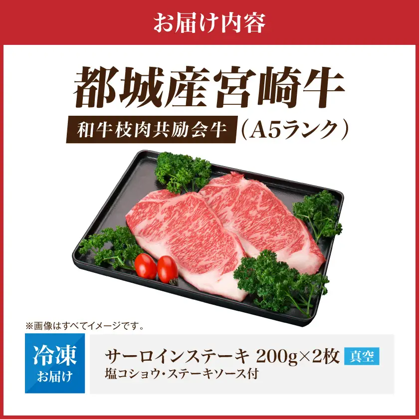 【和牛枝肉共励会牛】(A5)宮崎牛サーロインステーキ200g×2〔AD-25-001〕(都城市) 宮崎県 宮崎牛 サーロイン ロース ステーキ 真空 品評会出展牛 特別セット