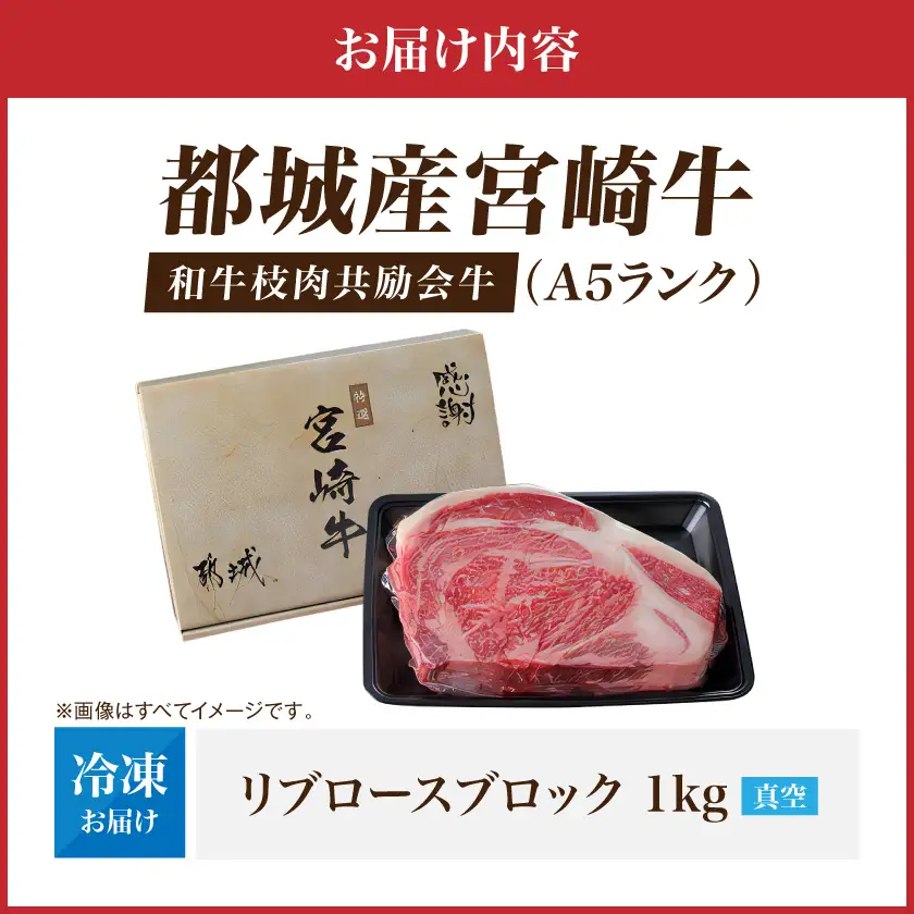 【和牛枝肉共励会牛】(A5)宮崎牛リブロースブロック1kg〔AF-25-002〕_(都城市) 宮崎県 宮崎牛 リブロース 1000g ブロック肉 真空 品評会出展牛 特別セット