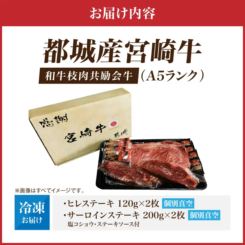 【和牛枝肉共励会牛】(A5)宮崎牛ヒレ・サーロインステーキセット_AF-25-003_(都城市) 宮崎県 宮崎牛 ヒレ サーロイン ステーキ 真空 品評会出展牛 特別セット