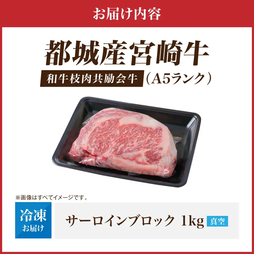 【和牛枝肉共励会牛】(A5)宮崎牛サーロインブロック1kg_AI-25-005_(都城市) 宮崎県 宮崎牛 サーロイン ロース 1000gブロック ステーキ 真空 品評会出展牛 特別セット