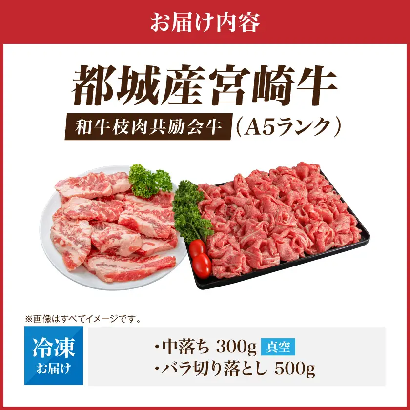 【和牛枝肉共励会牛】(A5)宮崎牛中落ち&バラ切り落としセット_17-25-006_(都城市) 宮崎県 宮崎牛 中落ち バラ 煮込み おでん 焼肉 すき焼き 牛丼 品評会出展牛 特別セット