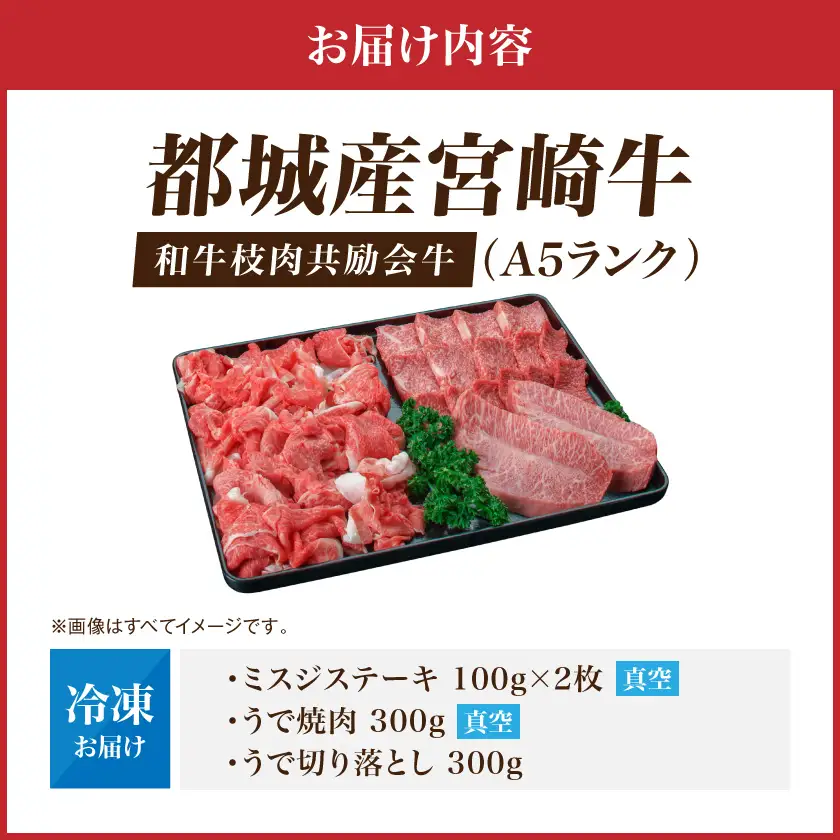【和牛枝肉共励会牛】(A5)宮崎牛うでバラエティセット〔21-25-010〕_(都城市) 宮崎県 宮崎牛 ウデ 肩 ミスジ ステーキ 焼肉 切り落とし 真空 品評会出展牛 特別セット