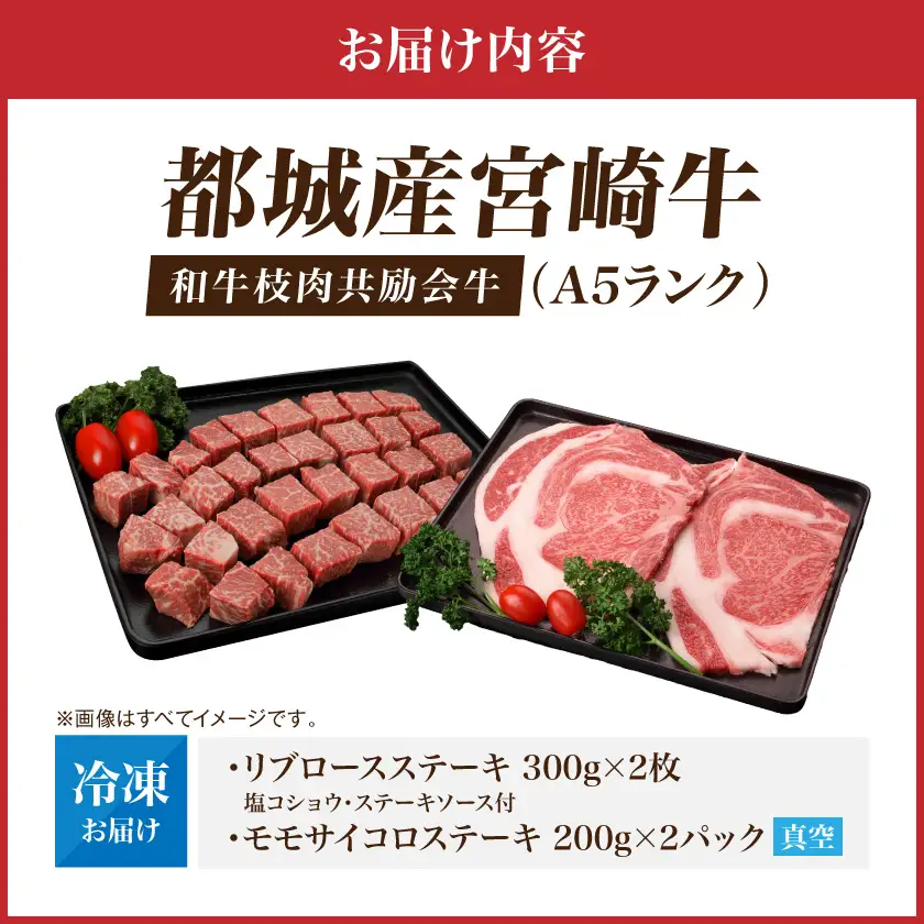 【和牛枝肉共励会牛】(A5)宮崎牛リブ&モモサイコロステーキセット_29-25-013_(都城市) 宮崎県 宮崎牛 リブロース モモ ステーキサイコロ 品評会出展牛 特別セット
